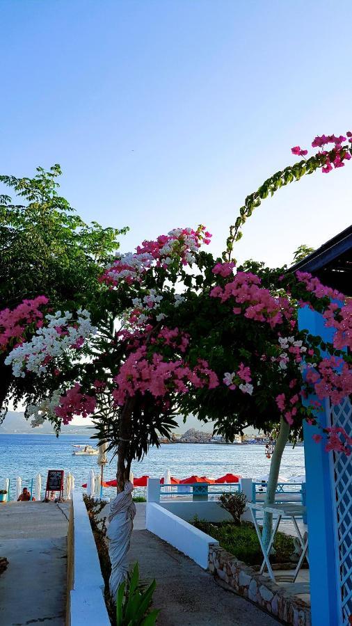 Haraki Mare Studios Beach Front Exterior photo